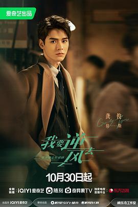 游淘气网站优化工具